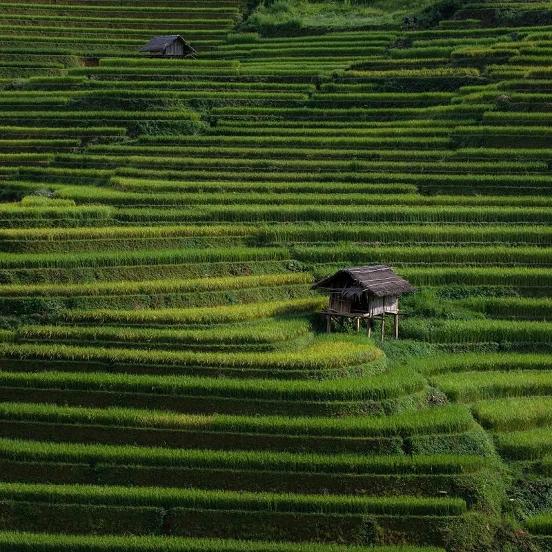 Đi du lịch Sapa tự túc thật giản đơn với trọn gói cẩm nang chi tiết