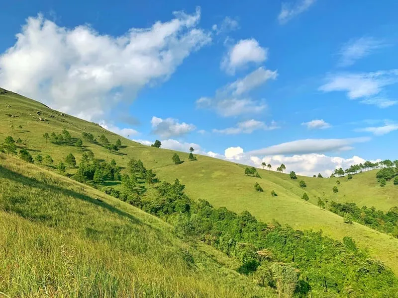 Đỉnh Phượng Hoàng, không gian thơ mộng cực gần Hạ Long