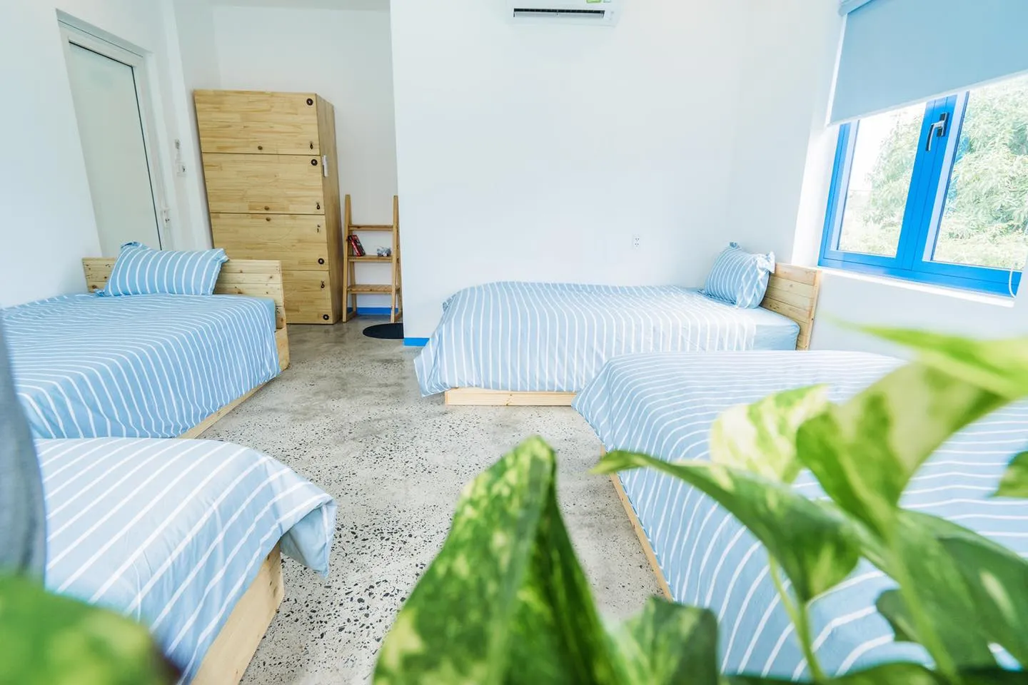 Dính thính Santori Homestay Hội An – Vẻ đẹp bình yên, buông nắng ở Hội An