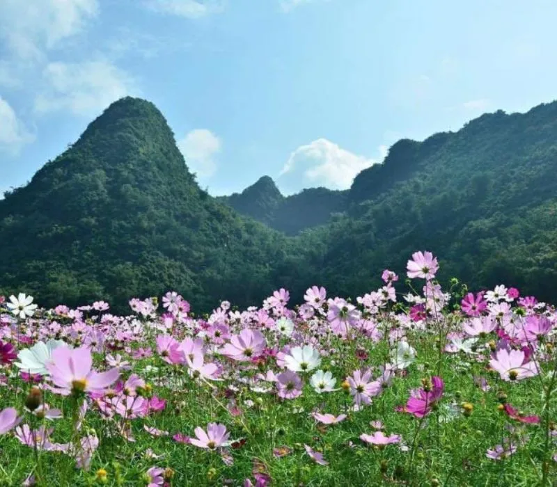 Du lịch Bắc Sơn, khám phá thung lũng vàng giữa lòng Lạng Sơn