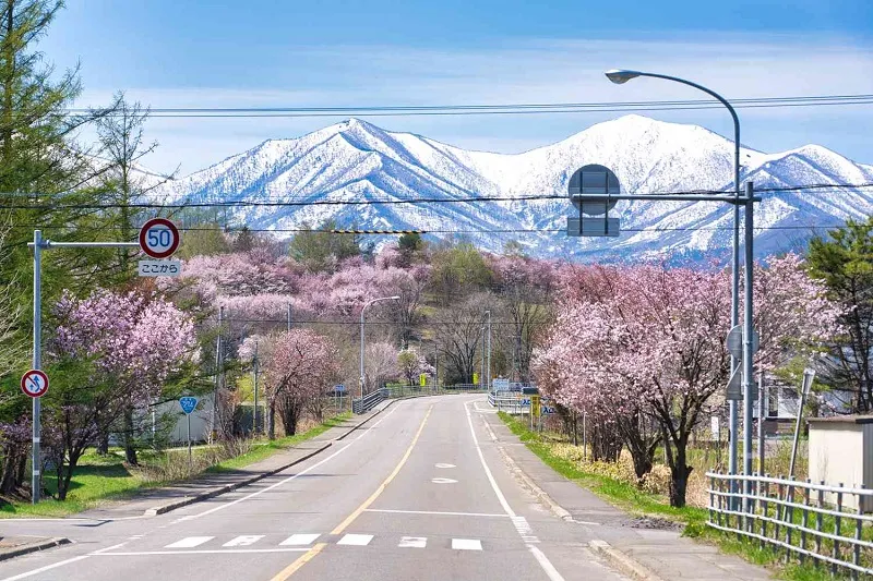 Du lịch Hokkaido khám phá vẻ đẹp miền Bắc tuyết trắng