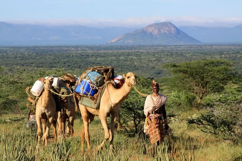 Du lịch Kenya và khám phá vẻ đẹp nguyên sơ nơi lục địa Đen