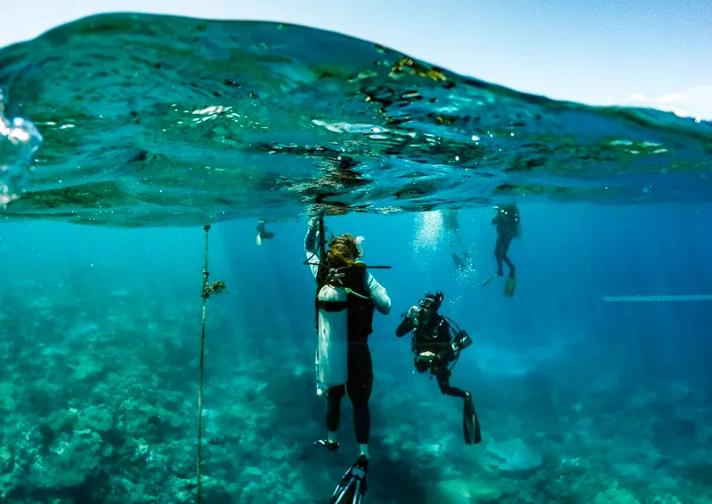 Du lịch Palau, thiên đường biển đảo hoang sơ giữa Thái Bình Dương