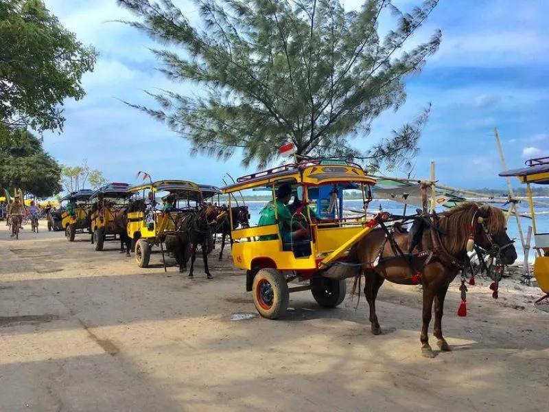 Du ngoạn đảo Gili Trawangan xinh đẹp cùng nhịp sống bình dị