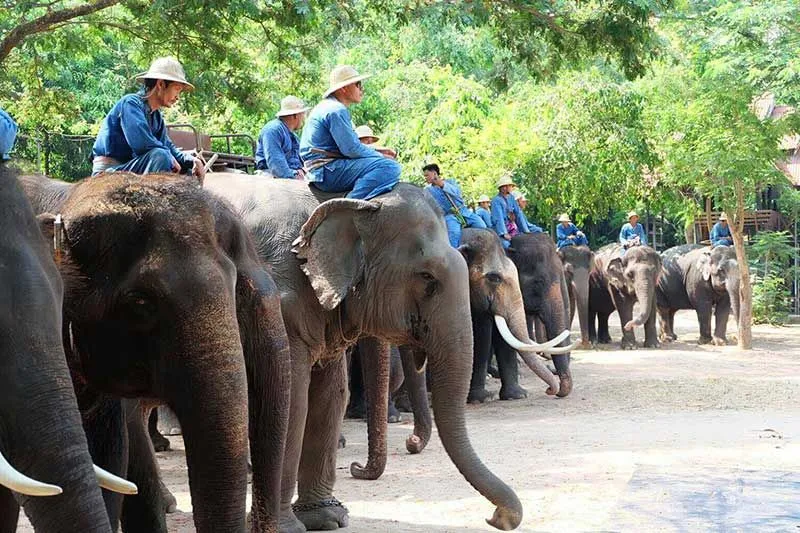 Du ngoạn Pattaya thế nào để có hành trình đáng nhớ