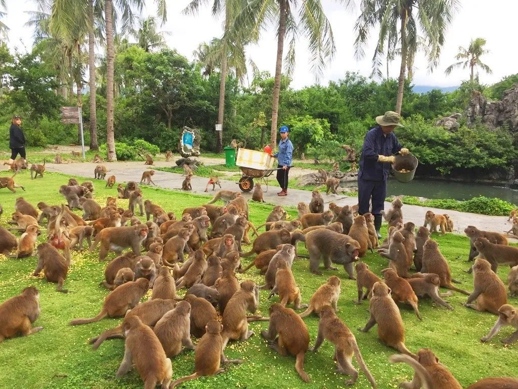 Du ngoạn vòng quanh 8 hòn đảo đẹp chất ngất tại Nha Trang