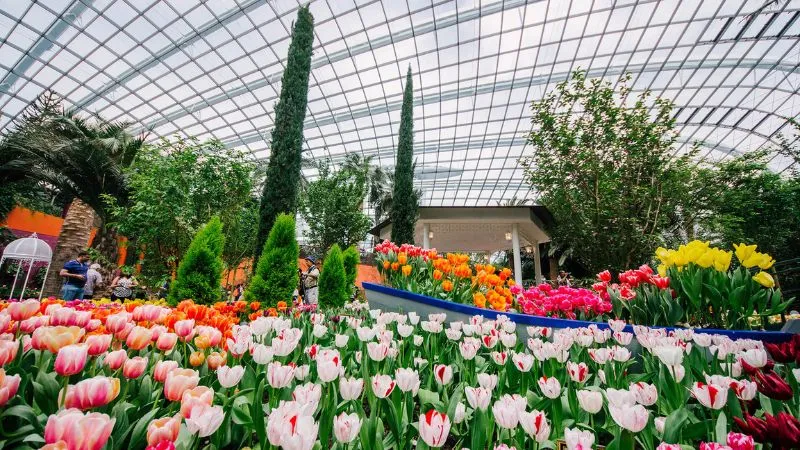 Gardens by the Bay, vườn nhân tạo quy mô khủng tại Singapore