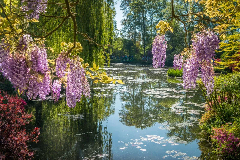 Ghé Giverny và đắm chìm trong khu vườn thơ mộng của Monet