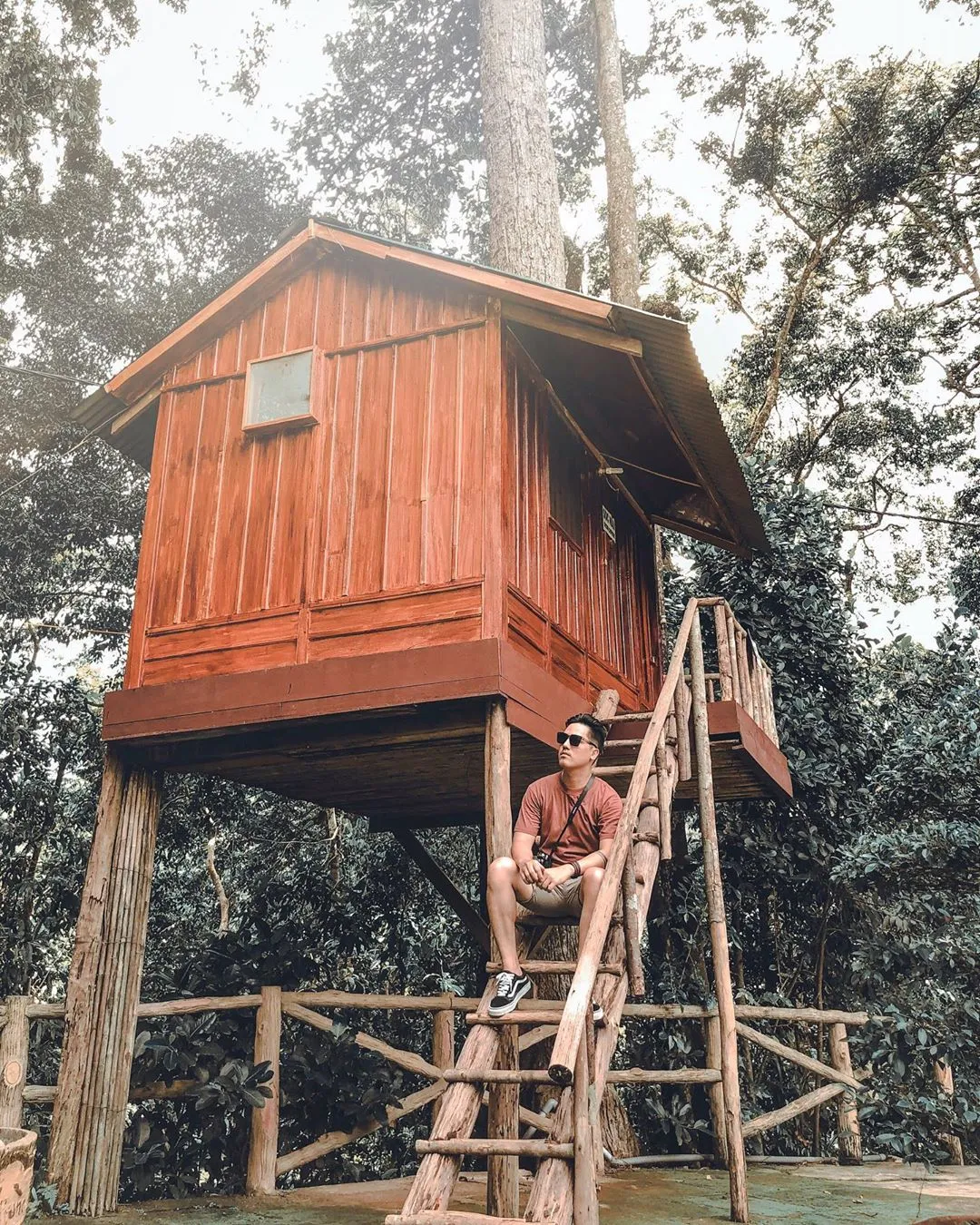 Ghé Ngôi nhà trên cây Dambri hòa mình vào núi rừng Tây Nguyên đại ngàn