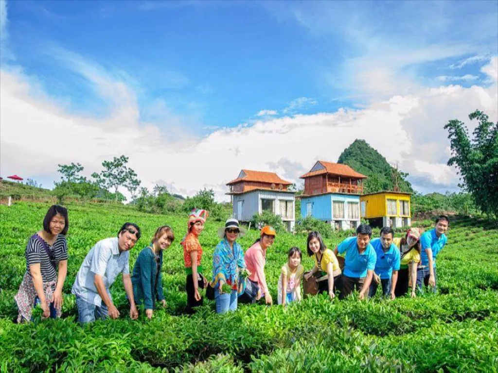 Gợi ý lịch trình hái mận Mộc Châu 3N2Đ trọn vẹn và chi tiết nhất