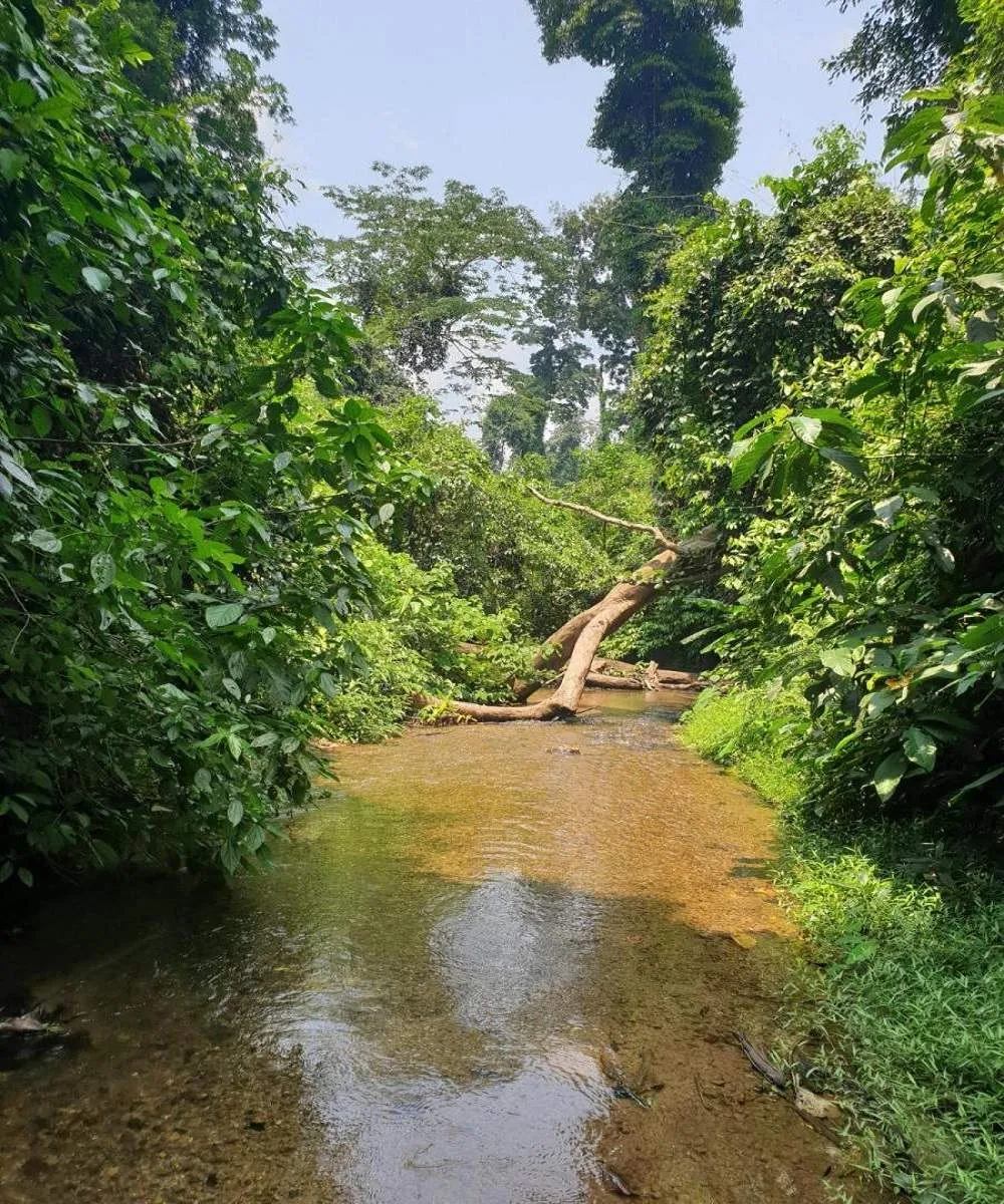 Gợi ý Lịch trình khám phá hang Voi Thung lũng Ma Đa Quảng Bình