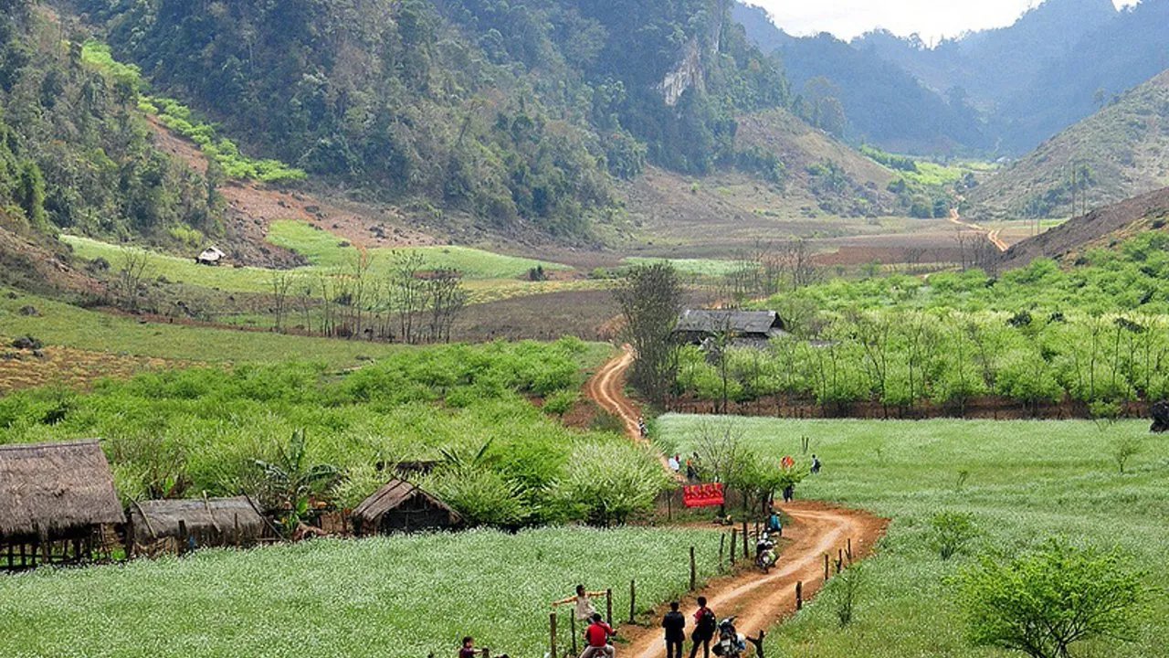 Gợi ý lịch trình Mộc Châu 3N2Đ tự túc chi tiết nhất