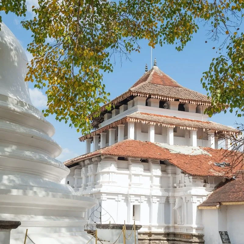 Hành trình tìm về Kandy, cố đô văn hóa của Sri Lanka