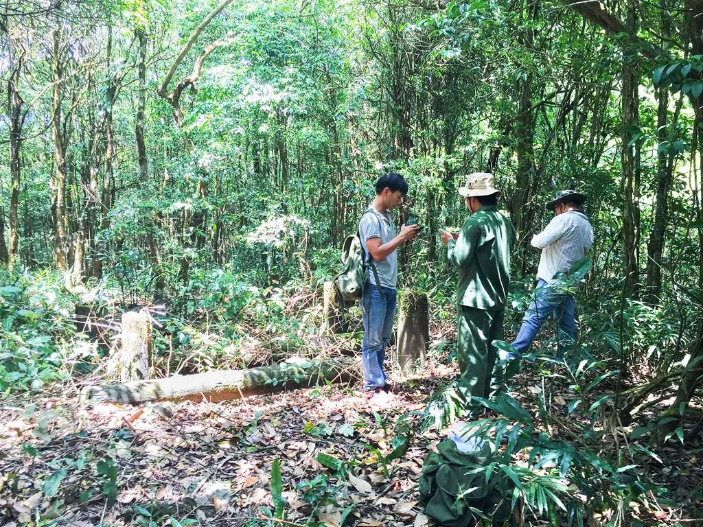 Hành trình trekking VQG Chư Mom Ray tìm về núi rừng đại ngàn