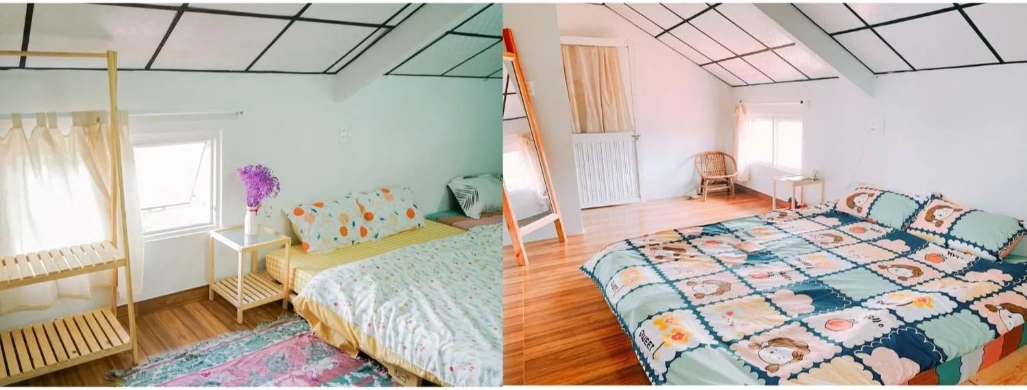 Himawari Homestay, ngôi nhà nhỏ ẩn mình trong khu vườn hoa đầy màu sắc