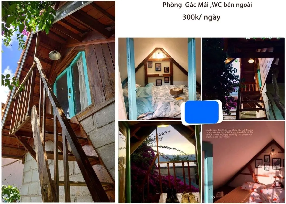 Himawari Homestay, ngôi nhà nhỏ ẩn mình trong khu vườn hoa đầy màu sắc