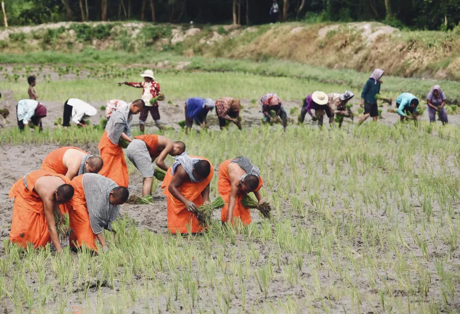 Hòa mình vào Tết cổ truyền Senl Donta độc đáo của người Khmer