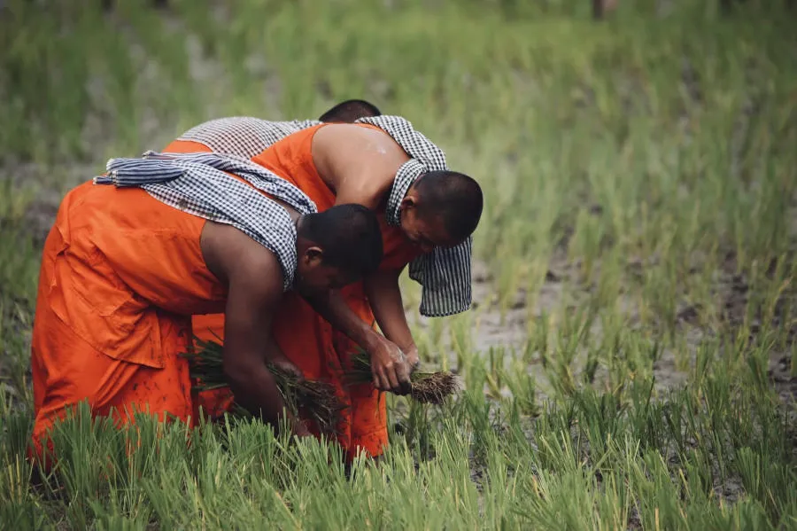 Hòa mình vào Tết cổ truyền Senl Donta độc đáo của người Khmer