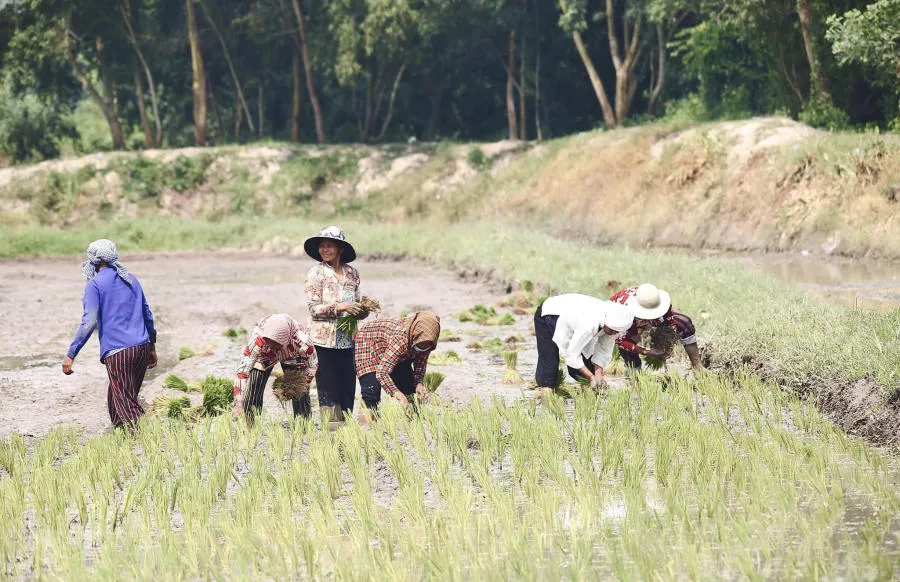 Hòa mình vào Tết cổ truyền Senl Donta độc đáo của người Khmer