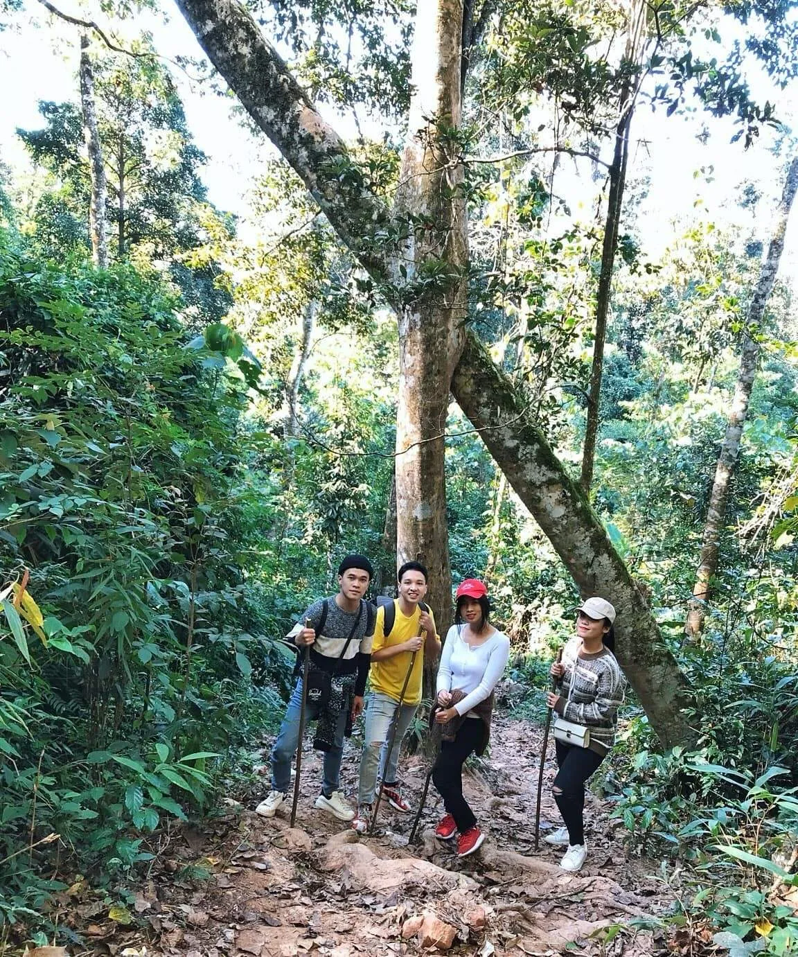 Hướng dẫn chi tiết trekking săn mây trên đỉnh Pha Luông