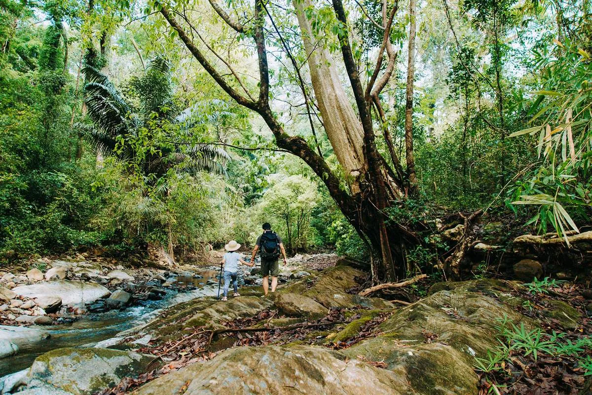 Hướng dẫn trekking Bù Gia Mập an toàn cho hội cuồng du lịch