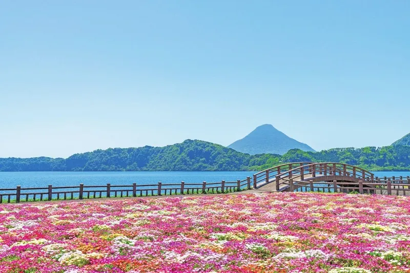 Kagoshima yên bình, nơi kết nối với thiên nhiên mạnh mẽ