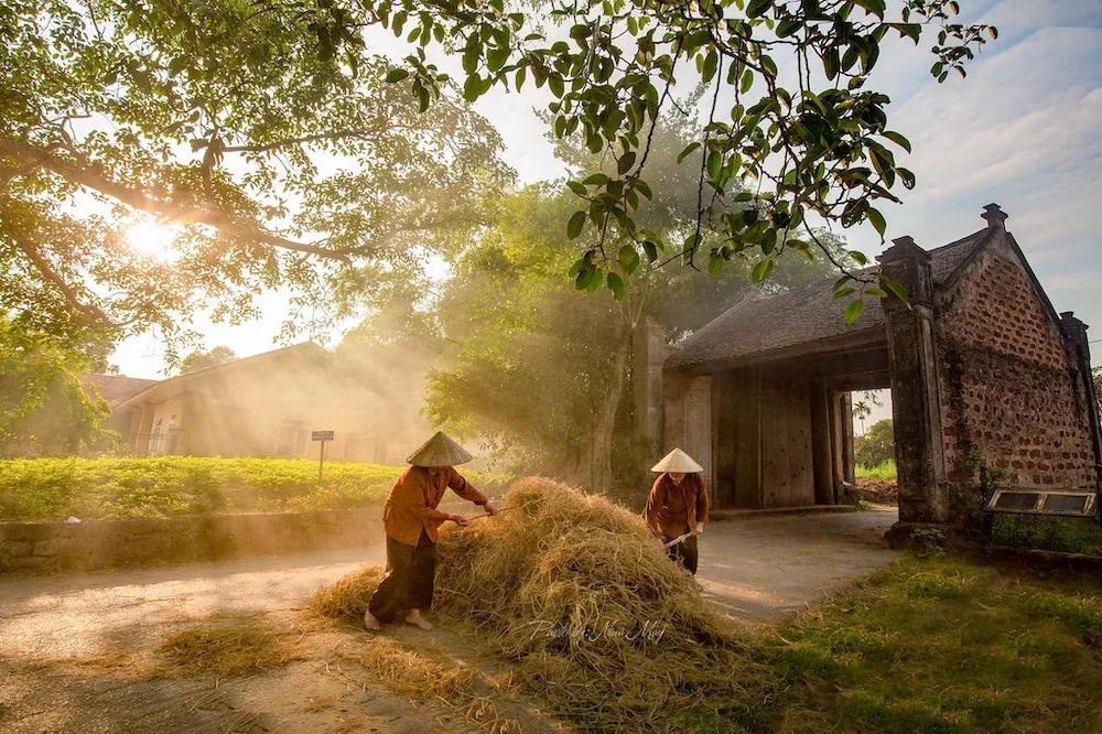 Khám phá 6 điểm tham quan tại làng cổ Đường Lâm xưa cũ