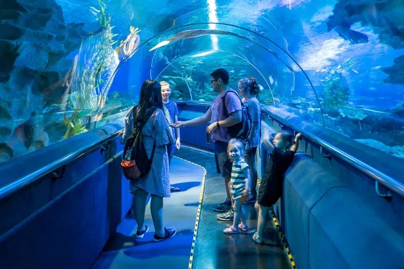 Khám phá Aquaria KLCC với hơn 5.000 sinh vật biển đặc sắc