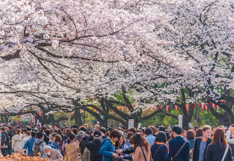 Khám phá công viên Ueno: công viên lâu đời nhất tại Tokyo