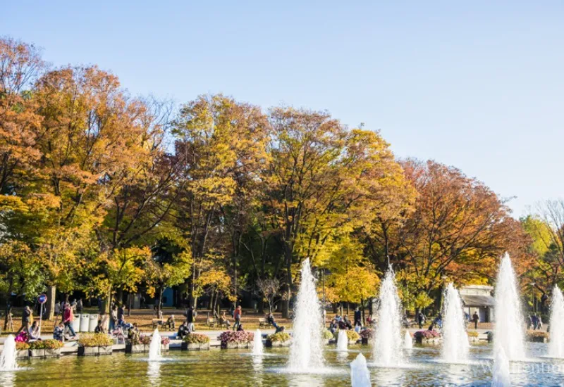 Khám phá công viên Ueno: công viên lâu đời nhất tại Tokyo