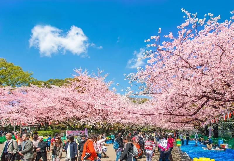 Khám phá công viên Ueno: công viên lâu đời nhất tại Tokyo