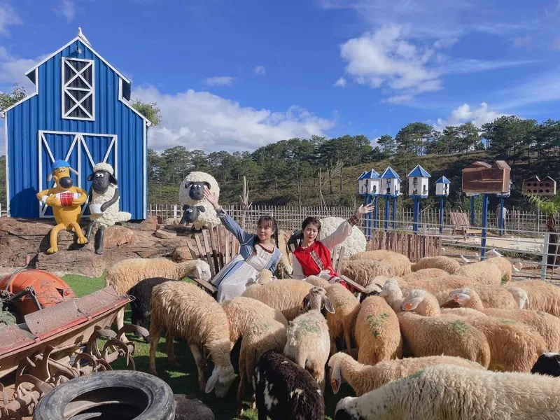 Khám phá Nông trại cừu Frenzy Farm, thế giới động vật đáng yêu