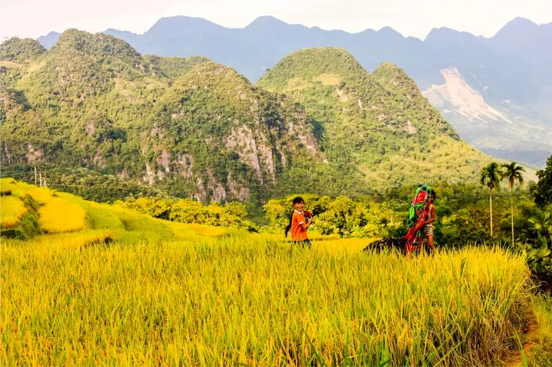 Khám phá Pù Luông Thanh Hóa với nét đẹp bình yên, dung dị