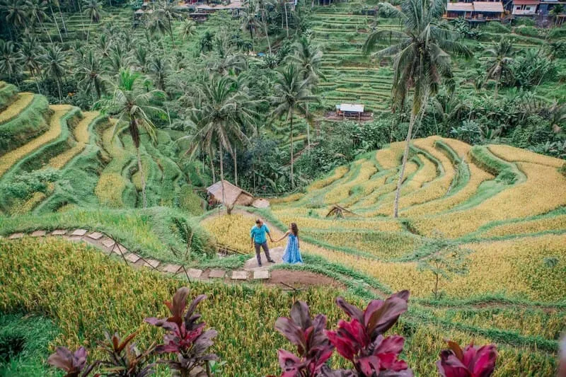 Khám phá Ruộng bậc thang Tegalalang, điểm đến hòa mình thiên nhiên