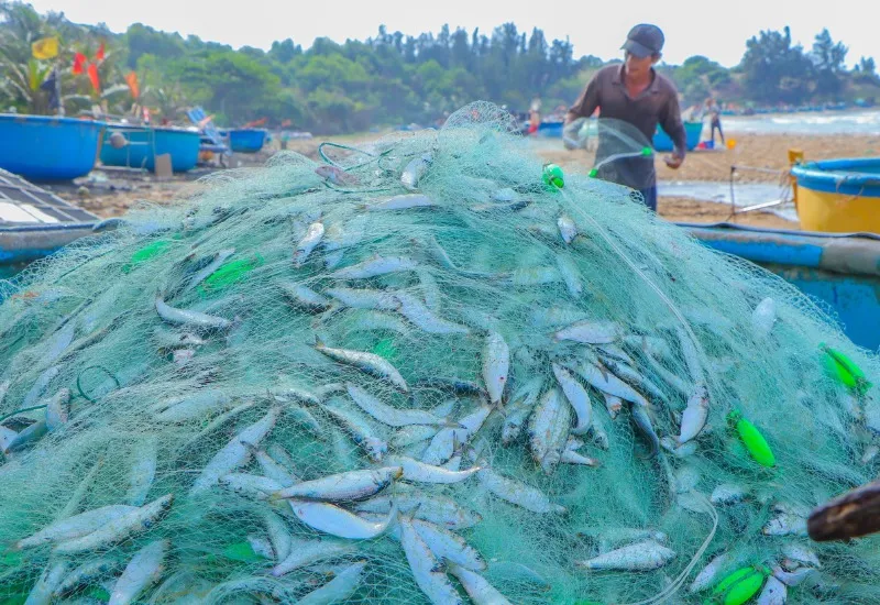 Khám phá Stop And Go Làng Chài resort tại Phan Thiết