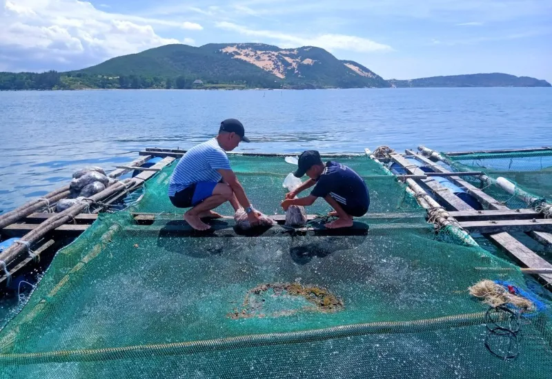 Khám phá Stop And Go Làng Chài resort tại Phan Thiết