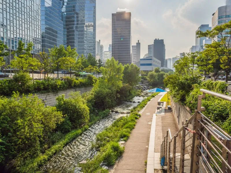 Khám phá suối Cheonggyecheon, ốc đảo xanh mát giữa lòng Seoul