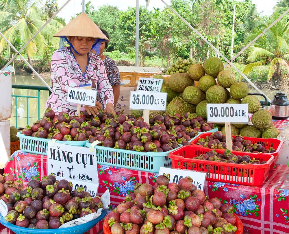 Khám phá tất tần tật lễ hội Bình Dương dành cho các tín đồ du lịch