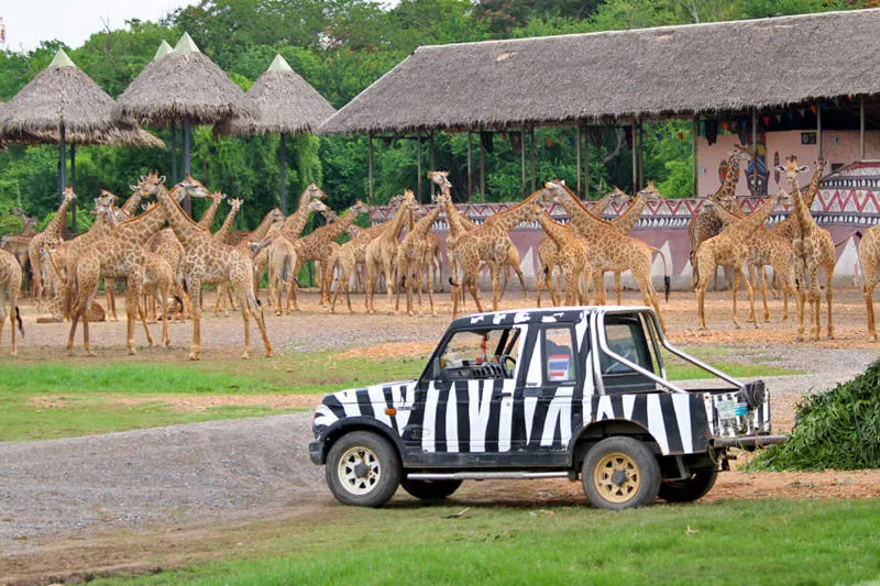 Khám phá tour du lịch Thái Lan 4 ngày 3 đêm và những trải nghiệm thú vị