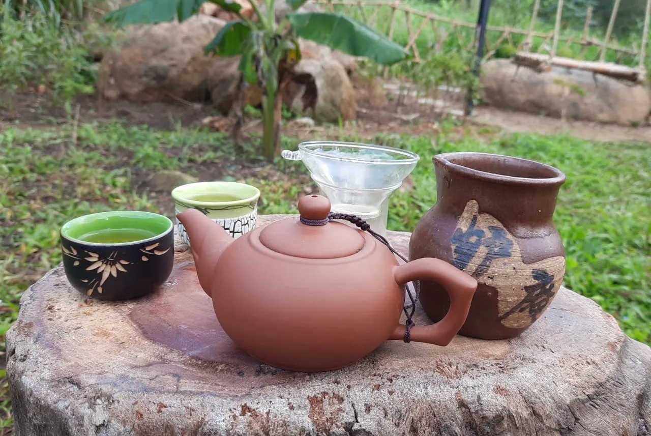 Khám phá Trà Thảo Mộc Đà Nẵng – OM Tea & Coffee ẩn mình dưới chân núi Sơn Trà