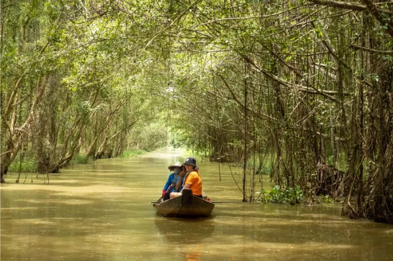 Khu du lịch sinh thái Gáo Giồng, ngôi nhà của các loài chim