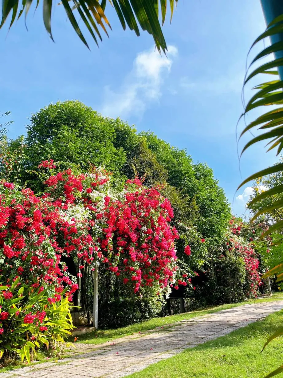 Khu du lịch Thảo Thiện Garden, điểm vui chơi nghỉ dưỡng thả ga tại Đồng Nai