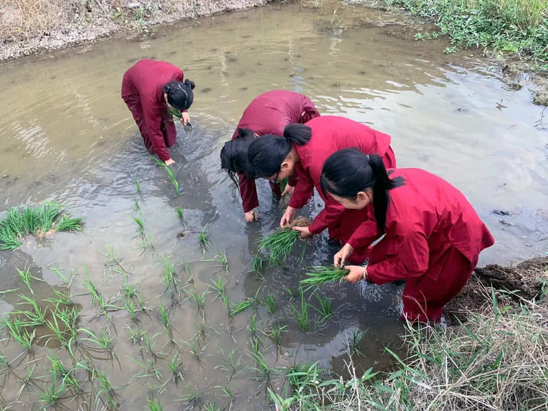 Khu du lịch Văn hóa Phương Nam, điểm đến ấn tượng ngự trên đất sen hồng