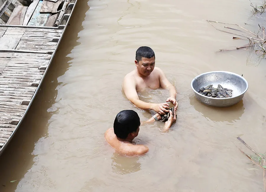 Kinh nghiệm đi Vàm Nao mùa nước nổi thú vị nhất dành cho bạn