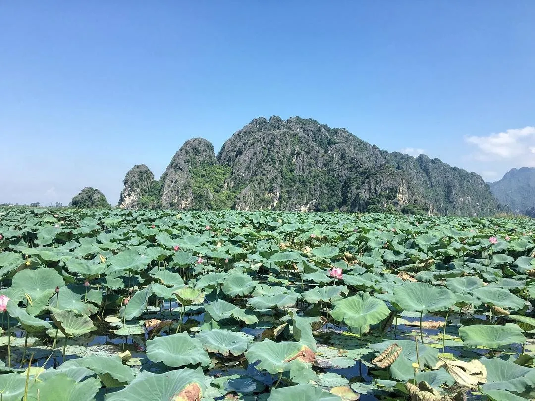 Kinh nghiệm du lịch cộng đồng Vân Long – Vịnh không sóng bình yên