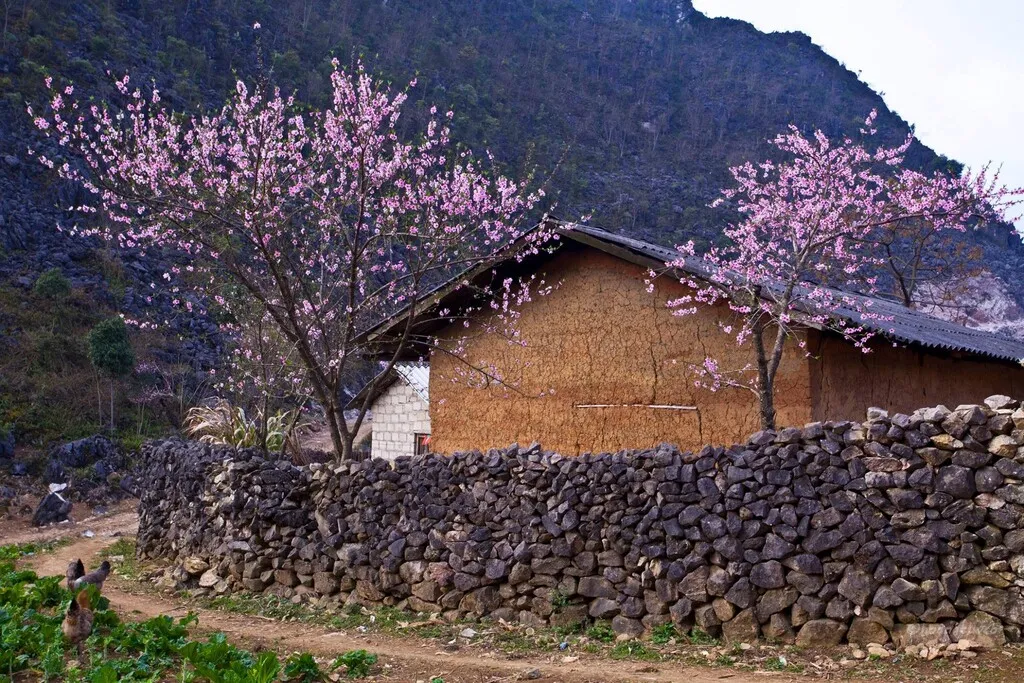 Kinh nghiệm du lịch Hà Giang tự túc, khám phá thiên đường nơi địa đầu Tổ quốc