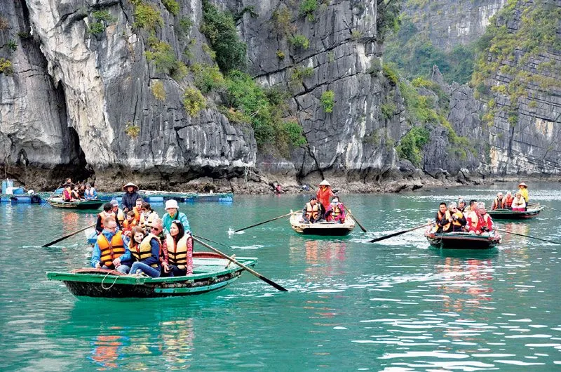 Kinh nghiệm du lịch Quảng Ninh hè chi tiết cho tín đồ xê dịch