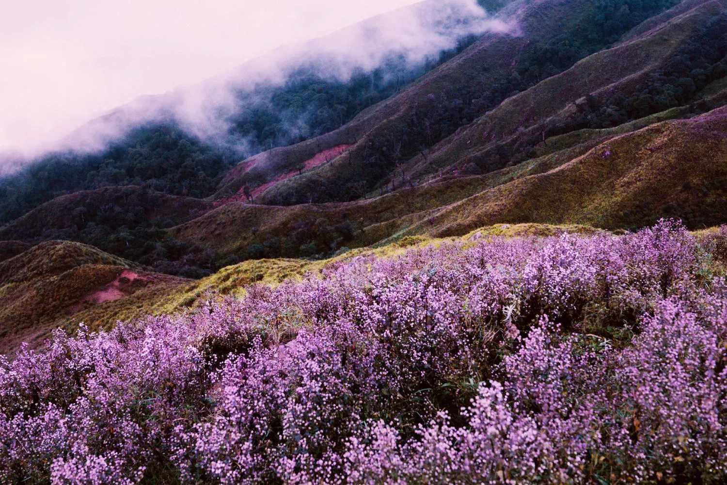 Kinh nghiệm trekking Tà Chì Nhù dành cho người mới đi lần đầu