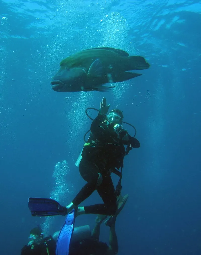 Koh Similan, thiên đường chốn hạ giới ngoài khơi Thái Lan