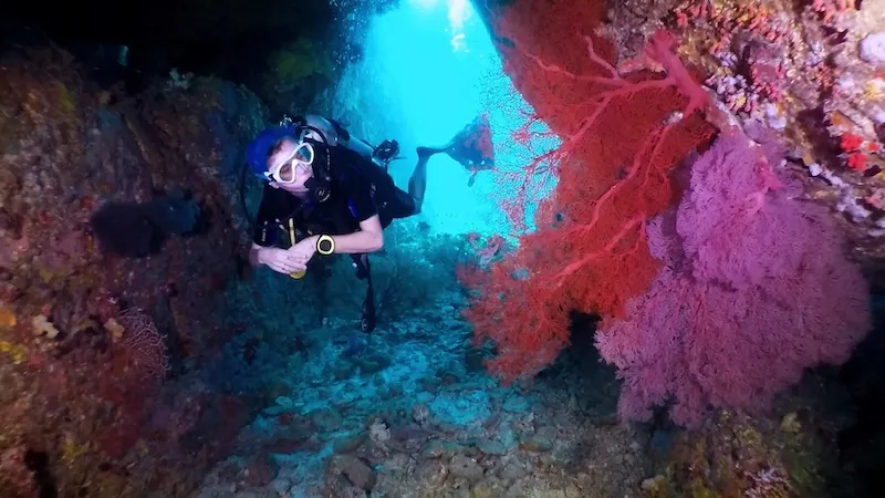 Koh Similan, thiên đường chốn hạ giới ngoài khơi Thái Lan